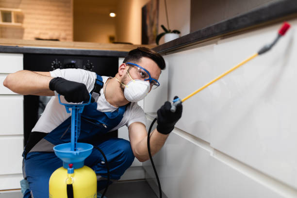 Best Rat Extermination Near Me  in Jerseyvle, IL