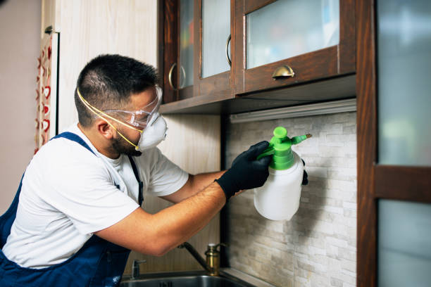 Best Pest Control Near Me  in Jerseyvle, IL
