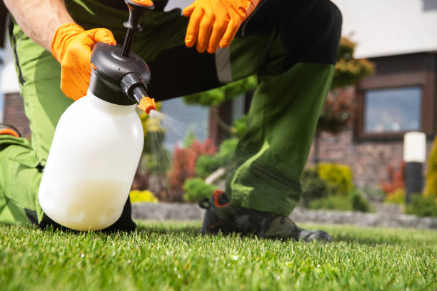 Trusted Jerseyville, IL Pest Control Experts