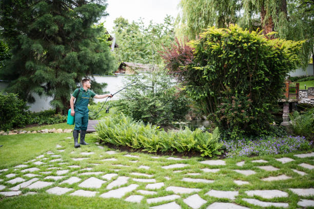 Best Affordable Pest Control Services  in Jerseyvle, IL