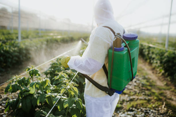 Best Insect Control  in Jerseyvle, IL